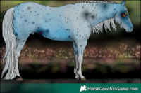 Horse Color:ERROR: UNKNOWN ANOMALY