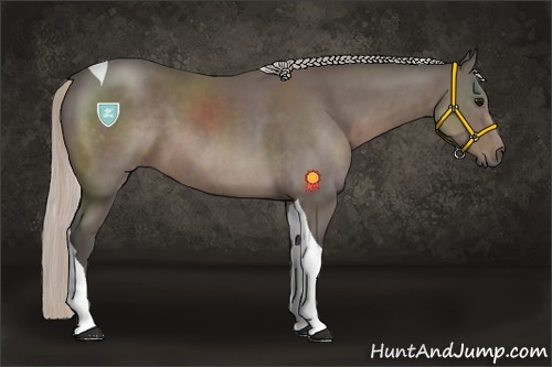 Horse Color:Silver Black Sabino Tobiano 