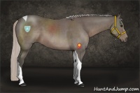 Horse Color:Silver Black Sabino Tobiano 