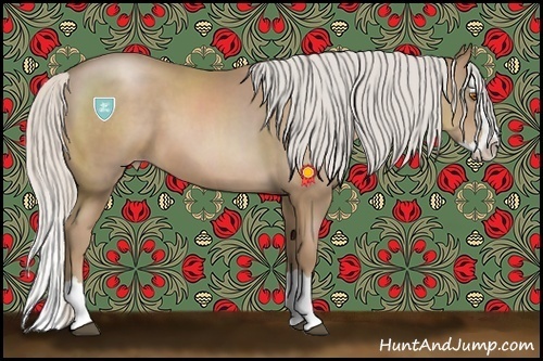 Horse Color:Silver Black Pearl Sabino Splash 