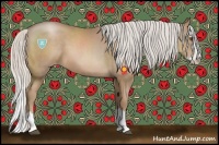 Horse Color:Silver Black Pearl Sabino Splash