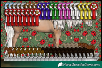 Horse Color:Silver Black Pearl Sabino Splash 