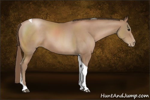 Horse Color:Black Pearl Tobiano 