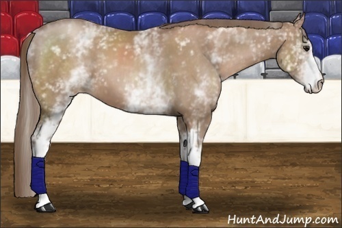 Horse Color:White Spotted Black Pearl