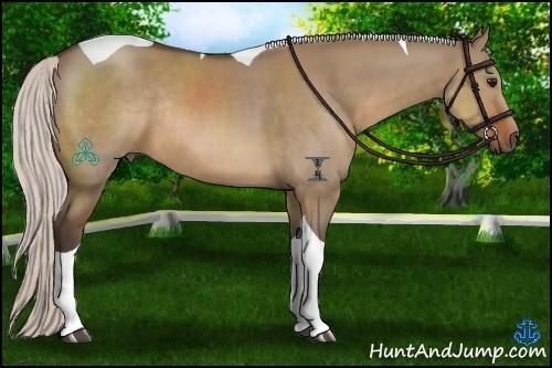 Horse Color:Silver Brown Dun Tobiano Rabicano