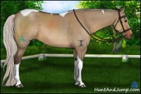 Horse Color:Silver Brown Dun Tobiano Rabicano