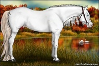 Horse Color:Chestnut Pearl Near Fewspot 