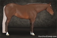 Horse Color:Silver Brown