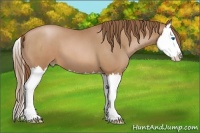 Horse Color:Brown Roan Pearl Splash