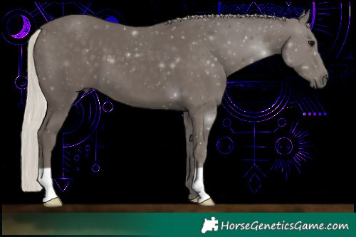 Horse Color:Silver Black 