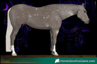 Horse Color:Silver Black 