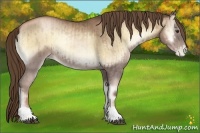Horse Color:Liver Red Onyx Pearl and Liver Red Onyx Pearl