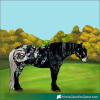 Horse Color:ERROR: UNKNOWN ANOMALY and ERROR: UNKNOWN ANOMALY