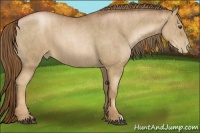 Horse Color:Liver Chestnut Pearl Brindle
