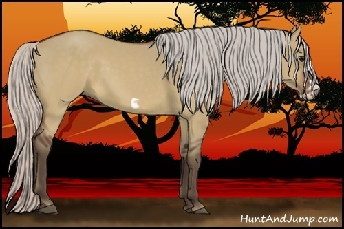 Horse Color:Silver Brown Dun Frame 