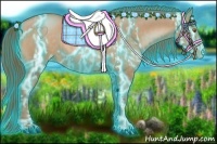 Horse Color:Thunderstruck Bay Pearl  and Thunderstruck Bay Pearl 