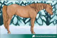 Horse Color:Liver Chestnut Pearl  Brindle