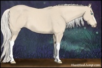 Horse Color:Cremello 