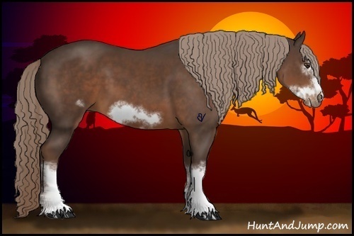 Horse Color:White Spotted Liver Chestnut Frame