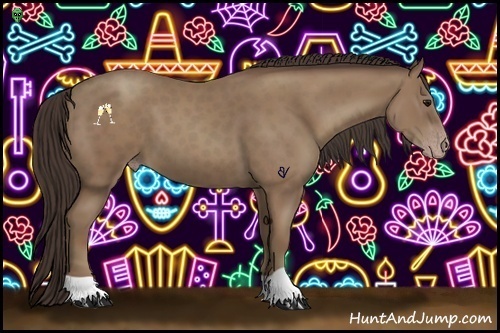 Horse Color:Classic Champagne