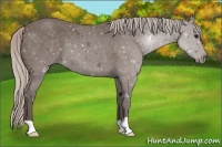 Horse Color:Silver Black 