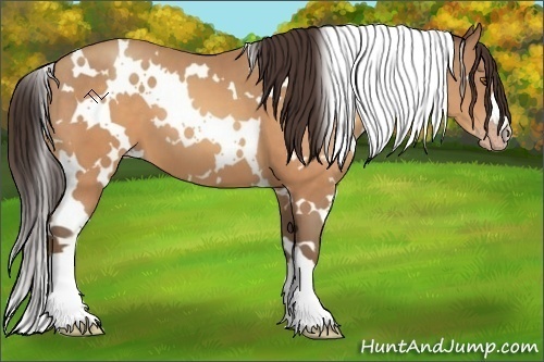 Horse Color:White Spotted Sable Champagne