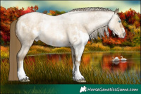 Horse Color:Buckskin Roan Pearl Sabino and Buckskin Roan Pearl Sabino