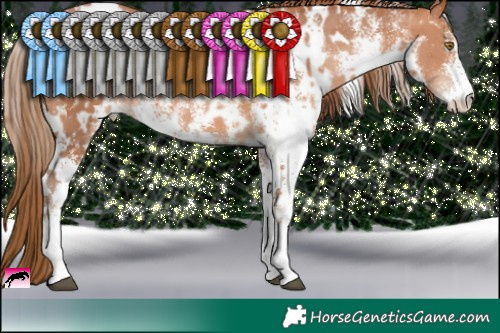 Horse Color:White Spotted Bay Pearl  and White Spotted Bay Pearl 