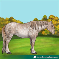 Horse Color:Liver Chestnut Ice Pearl and Liver Chestnut Ice Pearl