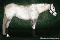 Horse Color:Liver Red Onyx Pearl Frame and Liver Red Onyx Pearl Frame