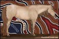 Horse Color:Bay Pearl  Brindle