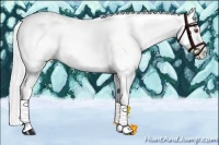 Horse Color:Silver Classic Champagne Chinchilla Pearl and Silver Classic Champagne Chinchilla Pearl