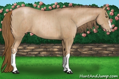 Horse Color:Liver Chestnut Pearl  and Liver Chestnut Pearl 