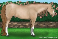 Horse Color:Liver Chestnut Pearl  and Liver Chestnut Pearl 