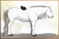 Horse Color:Liver Chestnut Pearl Varnish  Brindle