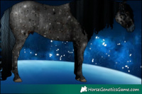 Horse Color:ERROR: UNKNOWN ANOMALY and ERROR: UNKNOWN ANOMALY