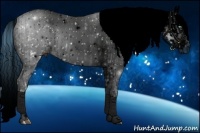 Horse Color:ERROR: UNKNOWN ANOMALY and ERROR: UNKNOWN ANOMALY