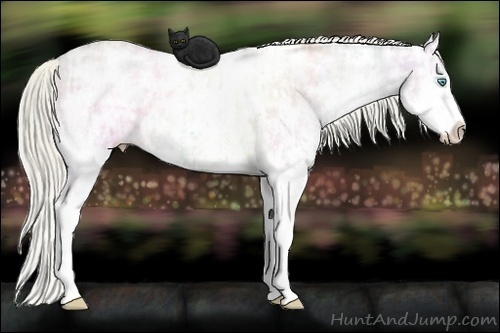 Horse Color:White Spotted Chocolate Palomino Ice Pearl Dun Splash  and White Spotted Chocolate Palomino Ice Pearl Dun Splash 