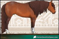 Horse Color:Chocolate Brown 