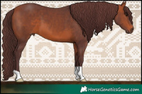 Horse Color:Chocolate Brown 