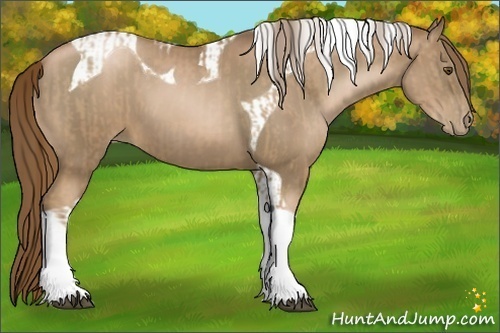 Horse Color:Liver Chestnut Pearl Tobiano and Liver Chestnut Pearl Tobiano