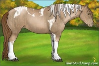 Horse Color:Liver Chestnut Pearl Tobiano and Liver Chestnut Pearl Tobiano