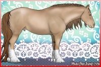Horse Color:Liver Chestnut Pearl  and Liver Chestnut Pearl 