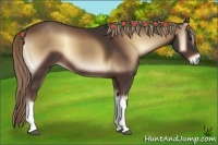 Horse Color:Liver Red Onyx 