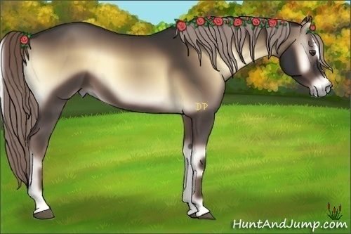 Horse Color:Chocolate Palomino Onyx Sabino 
