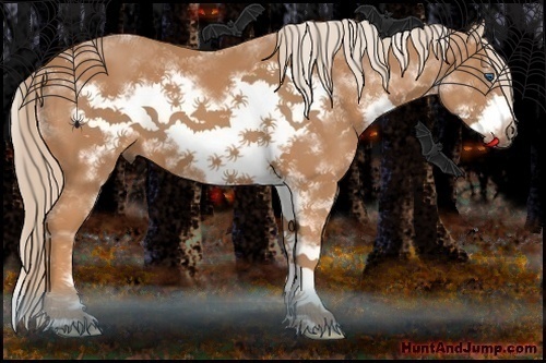 Horse Color:Chestnut Sabino Frame 