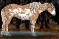 Horse Color:Chestnut Sabino Frame