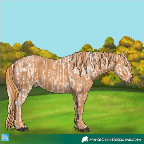 Horse Color:Liver Chestnut Pearl Tobiano Blanket  Brindle