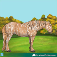 Horse Color:Liver Chestnut Pearl Tobiano Blanket  Brindle