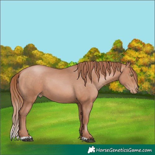 Horse Color:Chocolate Bay Pearl Mushroom  Brindle
